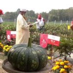 যশোরে ২৬ ফসলের ১২৯ জাতের উচ্চ ফলনশীল সবজি নিয়ে ‘ক্রপ-শো’