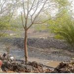 দখল-ভরাটে অস্তিত্ব সংকটে আইবুড়ি নদী