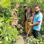 সুন্দরবন থেকে হরিণ শিকারের ফাঁদ উদ্ধার