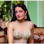 ১৫ বছর পর ফিরছেন সেলিনা জেটলি